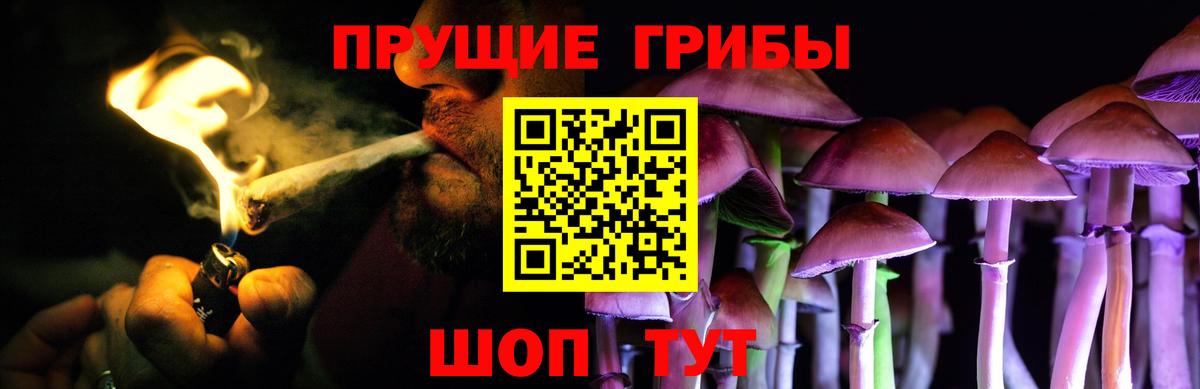 Псилоцибиновые грибы прущие грибы Хабаровск